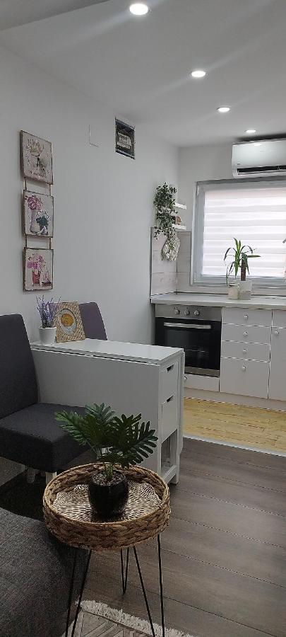 Queen Apartmancic Zaječar Extérieur photo